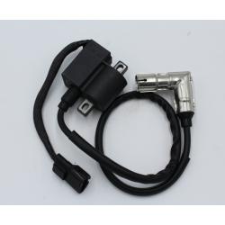 Bobina de Alta Skyteam Skymax Dax ST125-6 Euro 4