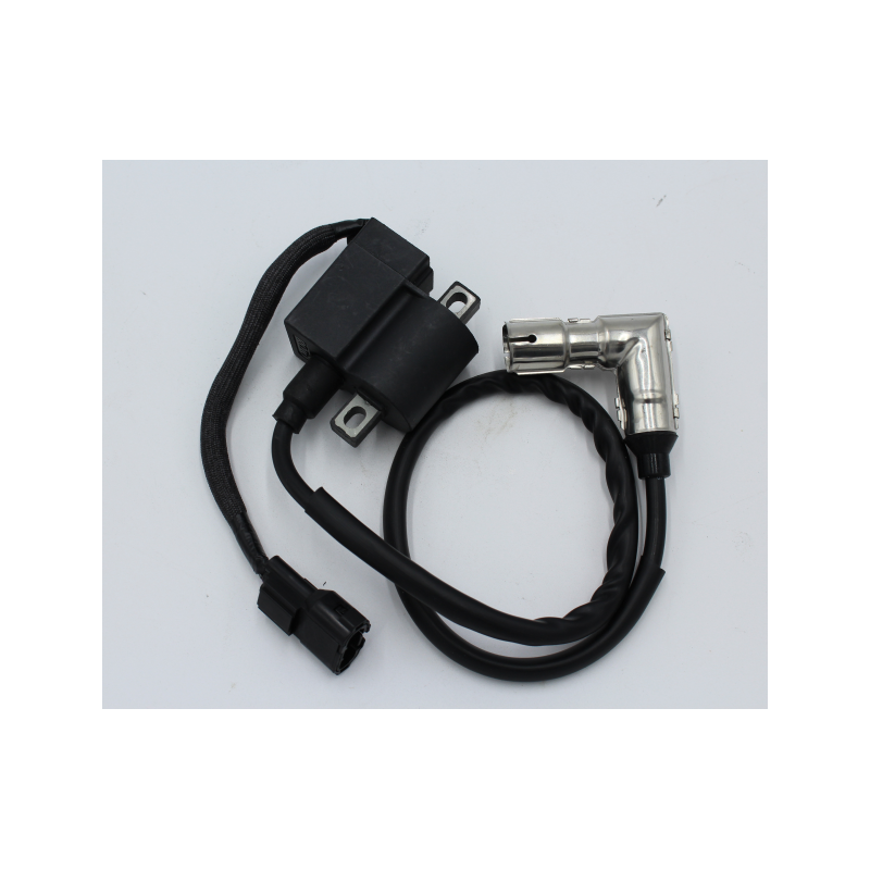 Bobina de Alta Skyteam Skymax Dax ST125-6 Euro 4