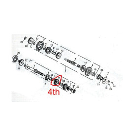 Pignon 3 Arbre Primaire (20T)  244FMI Bicilindre (Jinlun JL125-11)