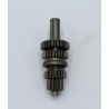 Eje Primario Conjunto 1P52FMI  (DINGO125 Euro4)
