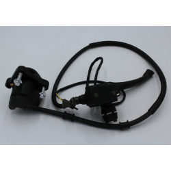 Front Brake Disc System, Assy (LF125GY-6)