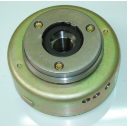 Estator & Rotor Completo (DG 110LF)