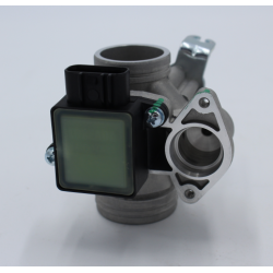 Cuerpo mariposa/sensor de acelerador (EFI)