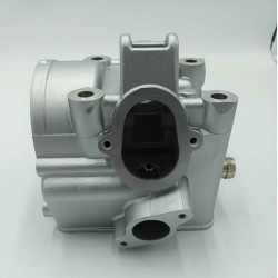 Cylinder Head LIFAN LF172MM-2 (LF250ST-2)