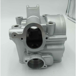Culasse LIFAN LF172MM-2 (LF250ST-2)