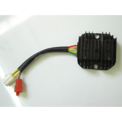 Regutateur RM125i (EFI)