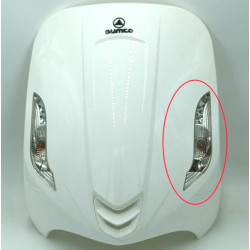 WINKER ASSY RH FR