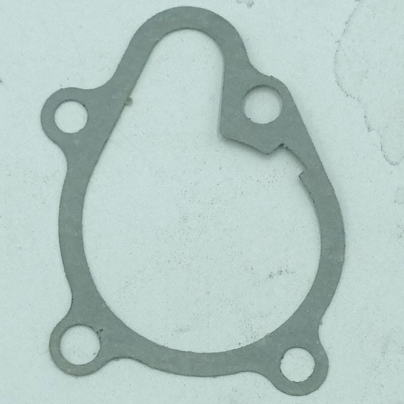 Water Pump Gasket (Lifan LF172MM-2 engine - LF250GY-7) Lifan Quad LF250ST-2