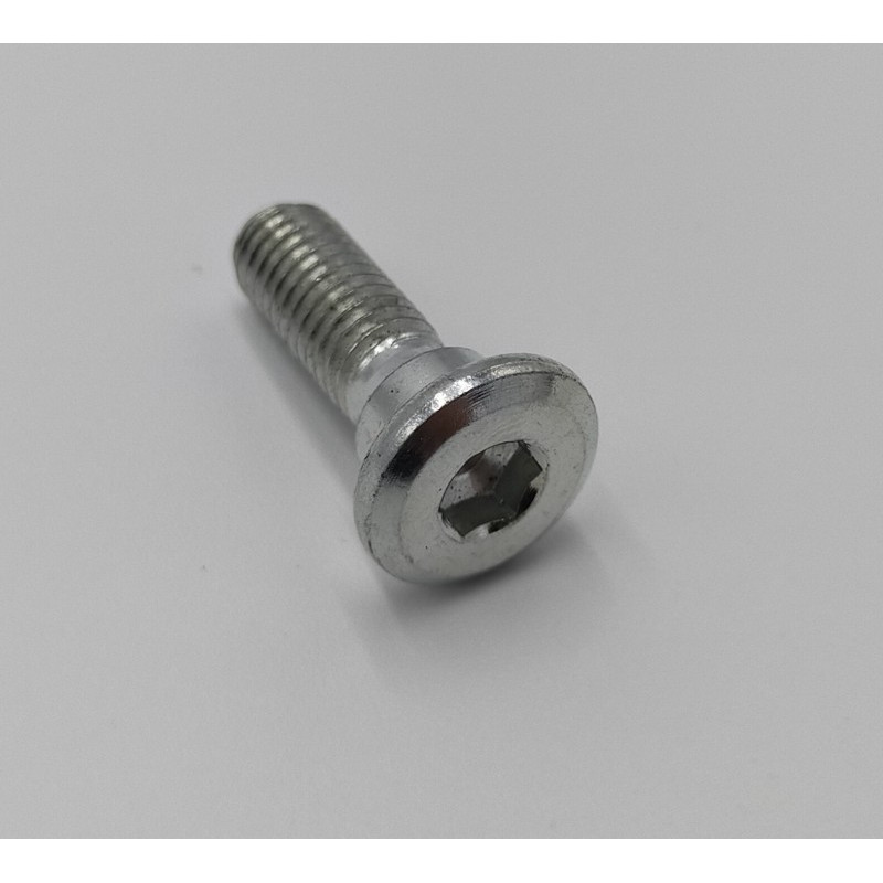 TORNILLO DISCO FRENO