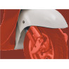 Guardabarros Del. (Negro) MH125