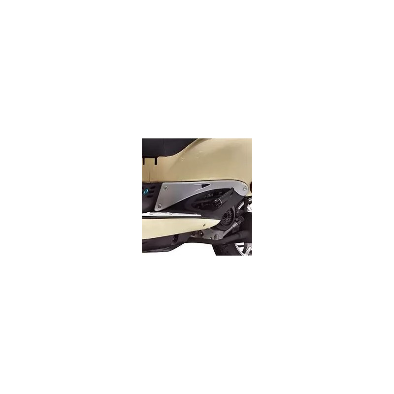 Feuille Metallique Couvercle Laterale Inferieur Gauche ZNEN ZN125T-E