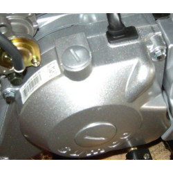 Bouchon Grand Trou de Distribution SKYTEAM DAX 125 T-REX 125 E5