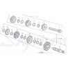 Conjunto Ejes Primario y Secundario (DG12) Skyteam Skymax125 Euro 4