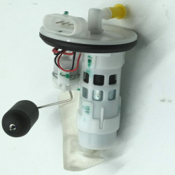 Fuel Pump  (LN125EFI)