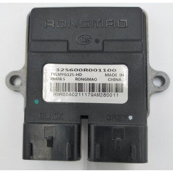 ECU (EFI)