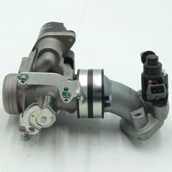 Cuerpo Inyector (EFI)