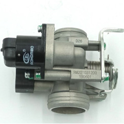 Throttle valve's total into ZNEN Rome ZNAU125