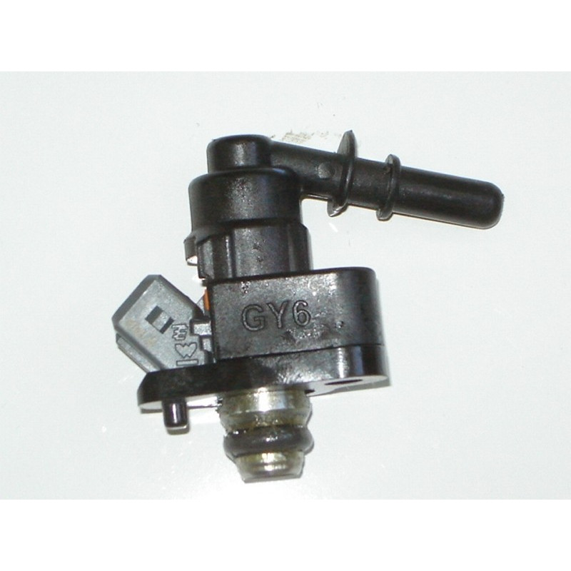 Cuerpo Inyector (EFI)