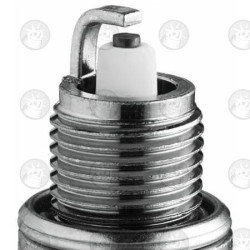 BUJIA BPR7HS (S-Ray50)