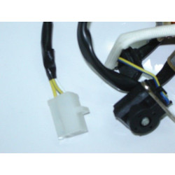 Estator & Rotor Completo (SRay50-4t)