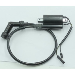Bobina de Alta Dayang Viball 125 DY125T-32
