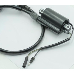 Bobina de Alta Dayang Viball 125 DY125T-32