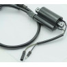 Bobina de Alta Dayang Viball 125 DY125T-32