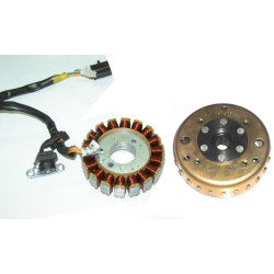 Generator Rotor & Stator Assy Dayang VIBALL 125 DY125T-32