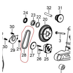 Chaîne Pompe Huile (22T) 152QMI GY6 125cc (LN125)