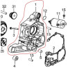 Carter Moteur Droit DAYANG Viball 125 DY125T-32