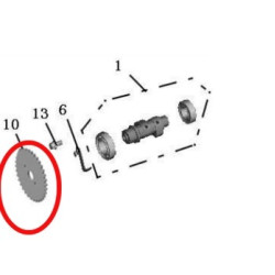 Pinion de Distribucion DAYANG Viball 125 DY125T-32