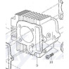 Cylinder Block SKYTEAM Skymax DAX 125 ST125-6 Euro4