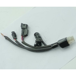 Connection Line 1 ECU DAX SKYMAX125 (ST125-6) Euro 4