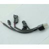 Cables Conexion ECU DAX SKYMAX125 (ST125-6) Euro 4