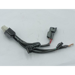 Cables Conexion ECU DAX SKYMAX125 (ST125-6) Euro 4