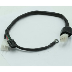Cables Conexion ECU Linea 2 DAX SKYMAX125 (ST125-6) Euro 4