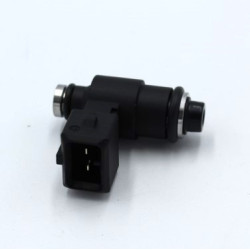Fuel Injector Unit Skyteam DAX Skymax 125 (EURO 4)