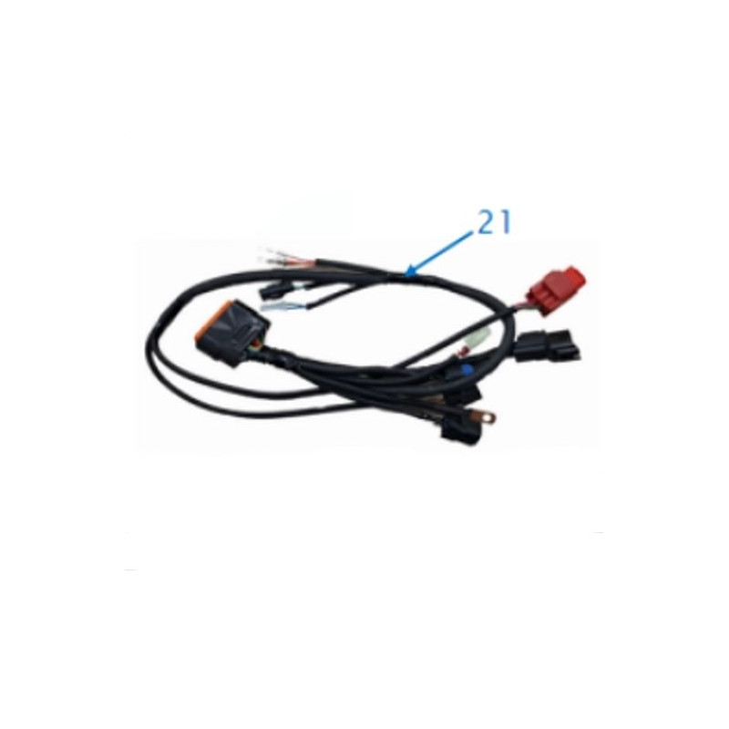 Línea de conexión ECU DAX SKYMAX125 (ST125-6) Euro 5