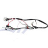 Cableado Eléctrico Principal  Skyteam Skymax 125i EFI (2021) EURO 5