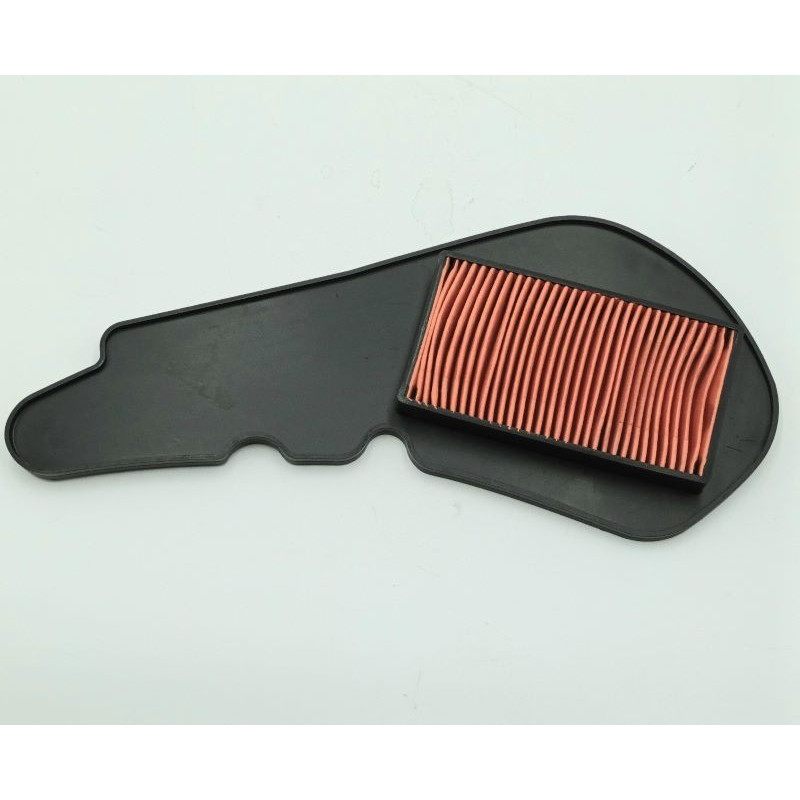 Air  Filter Element DAYANG Cargo125 DY125T-28D E4DY125T-28D E4