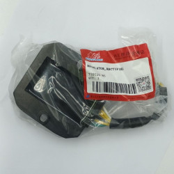 Regulador DAYANG Cargo125 DY125T-28D