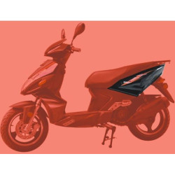 Rear Side Cover Left Black LIFAN S-RAY 50cc 125cc (LF125T-26)