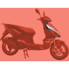 Plastico Escudo Frontal  LIFAN S-Power 50 2t (LF50QT-26B)