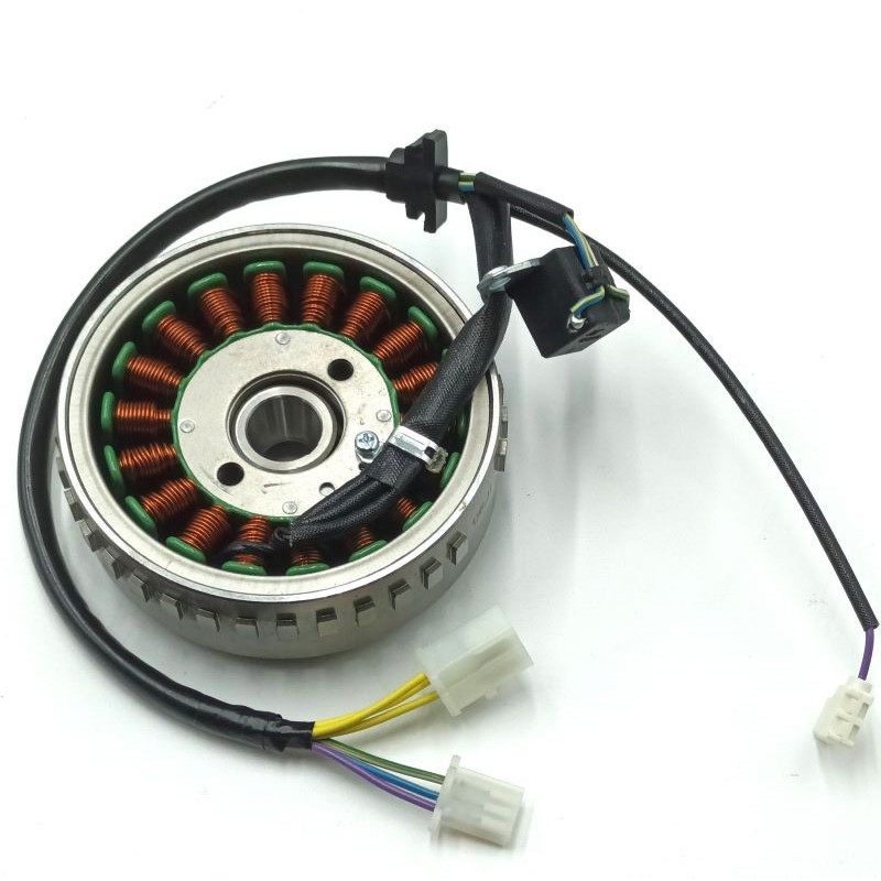 Ensemble Rotor & Stator Complet Dayang CARGO 125 DY125T-28D