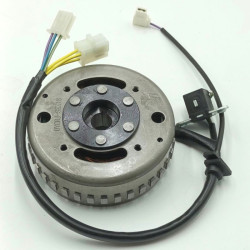 Ensemble Rotor & Stator Complet Dayang CARGO 125 DY125T-28D