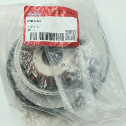 Ensemble Rotor & Stator Complet Dayang CARGO 125 DY125T-28D