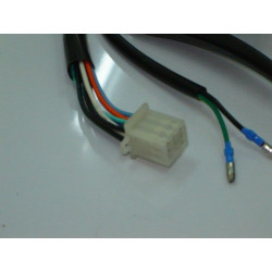 Piña Interruptores Izq. (MG12)