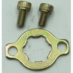 Pletina con Tornillos Piñon Salida Cambio (RK125i ) - YBR125