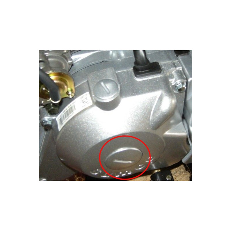 Big Cap EyeHole Timming SKYTEAM DAX 125 T-REX 125 Euro3