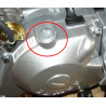 Small Cap Timming EyeHole SKYTEAM DAX 125 T-REX 125